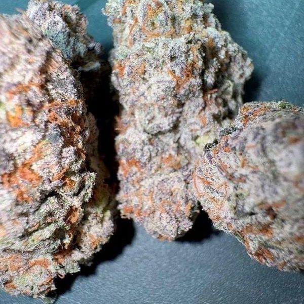 CALI SPAIN 🍇🍒 MIMOZ 🥀🥀🌺