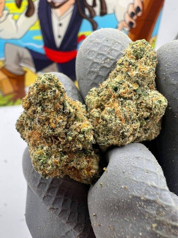 Buy Cali us AA+๐บ๐ธ LEMON POPERZ ZHEETOZ online at best price from ๐๐ญ๐ฅ๐ง๐๐จ๐จ ๐๐ช ๐๐ค๐ง๐๐ฎ๐น Lemon