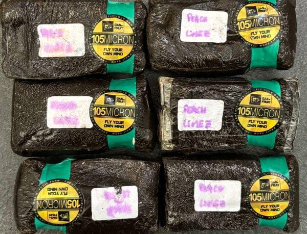 Frozen Gaz Fruit 105u