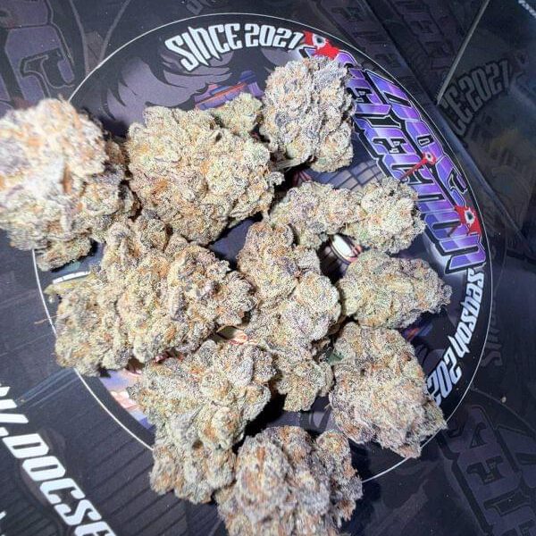 Cali By Doc Grow Ita