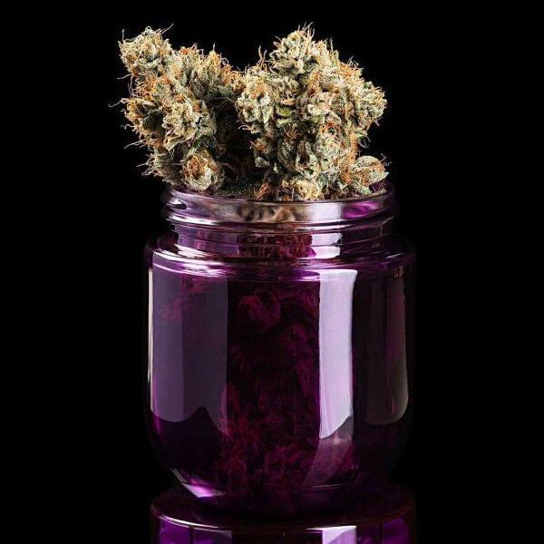 PEANUT BUTTER GELATO