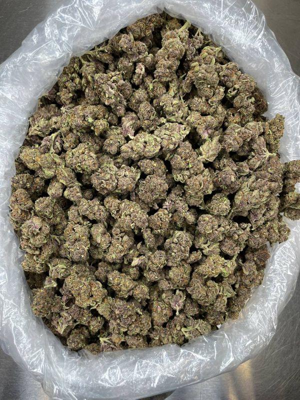 Buy Trop Cherry 🍒 online at best price from 𝙀𝙭𝙥𝙧𝙚𝙨𝙨 𝙙𝙪 𝙉𝙤𝙧𝙙🇮🇹 Trop Cherry